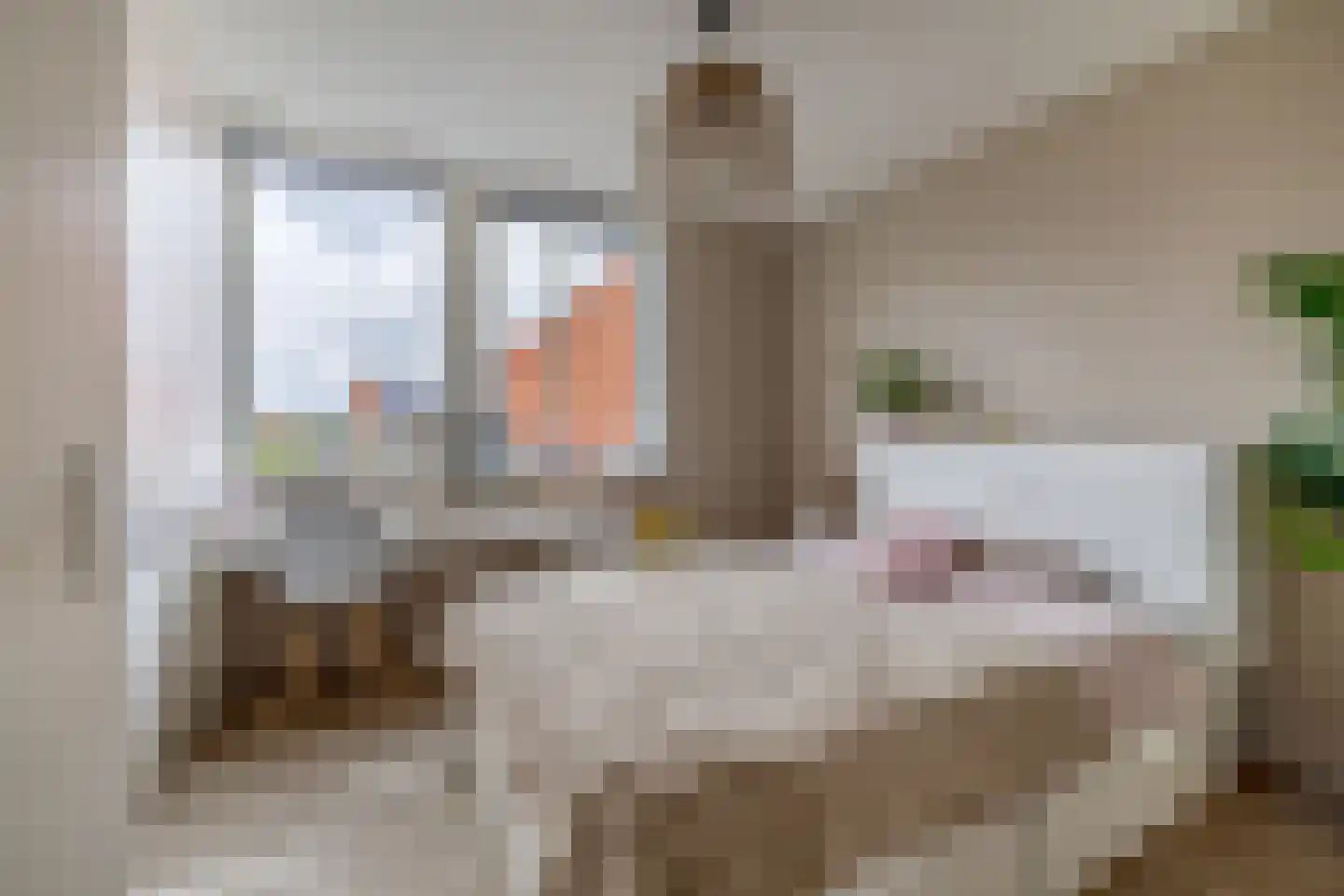 De Koning 9 Assendelft thumbnail 16
