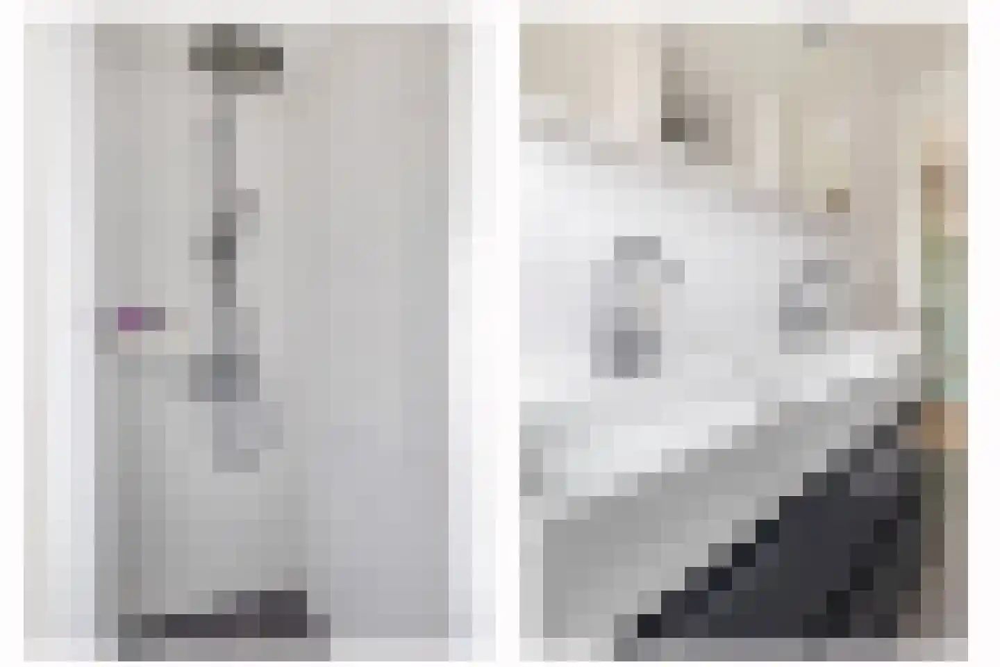 De Koning 9 Assendelft thumbnail 20