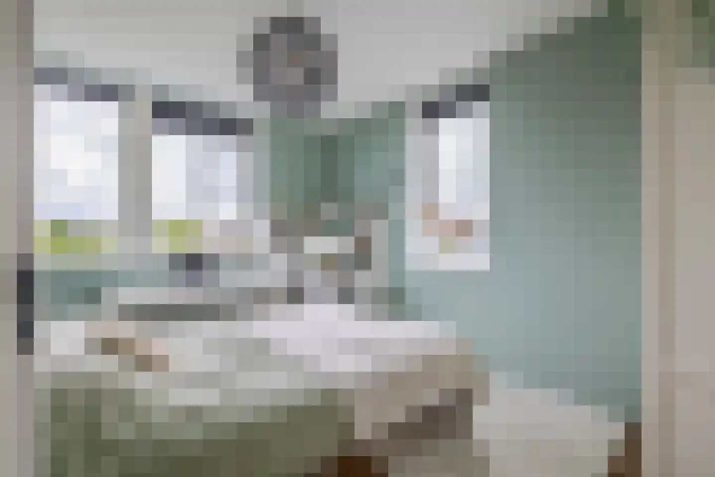 De Koning 9 Assendelft thumbnail 22