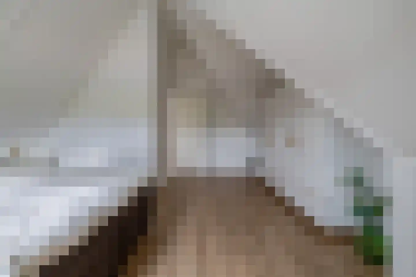 De Koning 9 Assendelft thumbnail 29