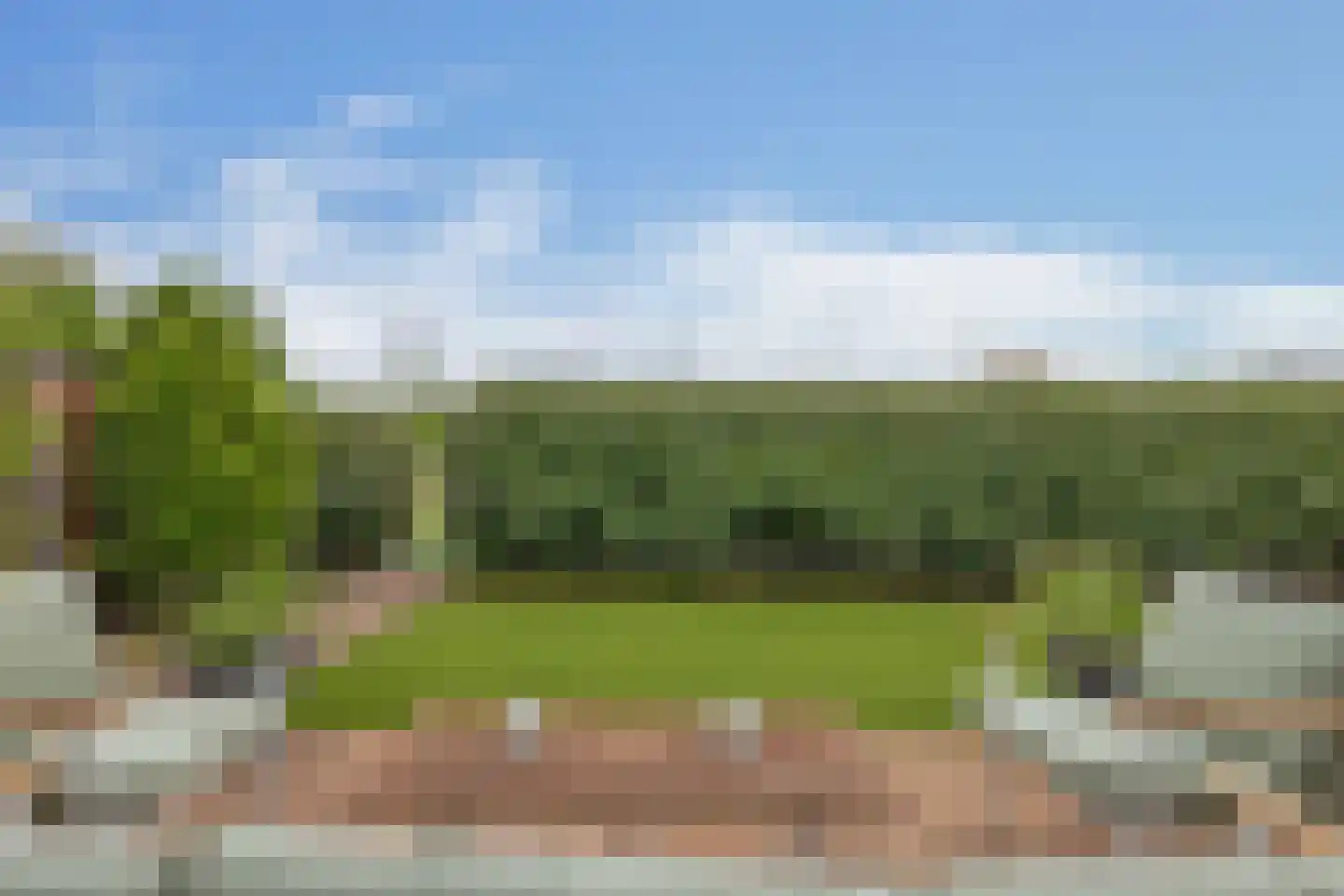 De Koning 9 Assendelft thumbnail 34