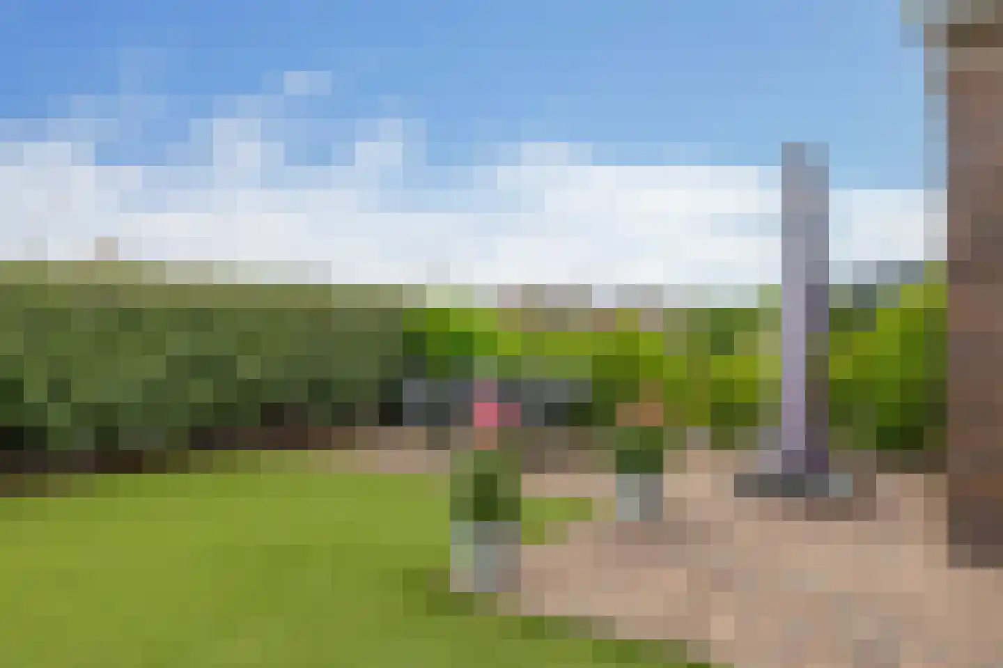 De Koning 9 Assendelft thumbnail 37