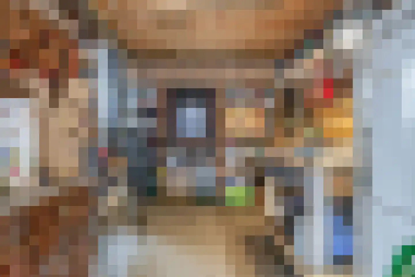 De Koning 9 Assendelft thumbnail 42