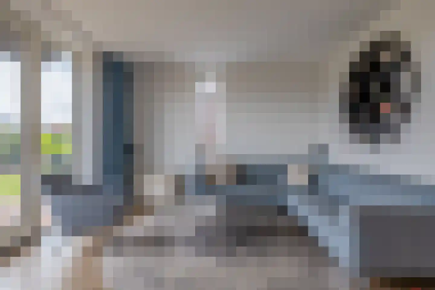 De Koning 9 Assendelft thumbnail 9