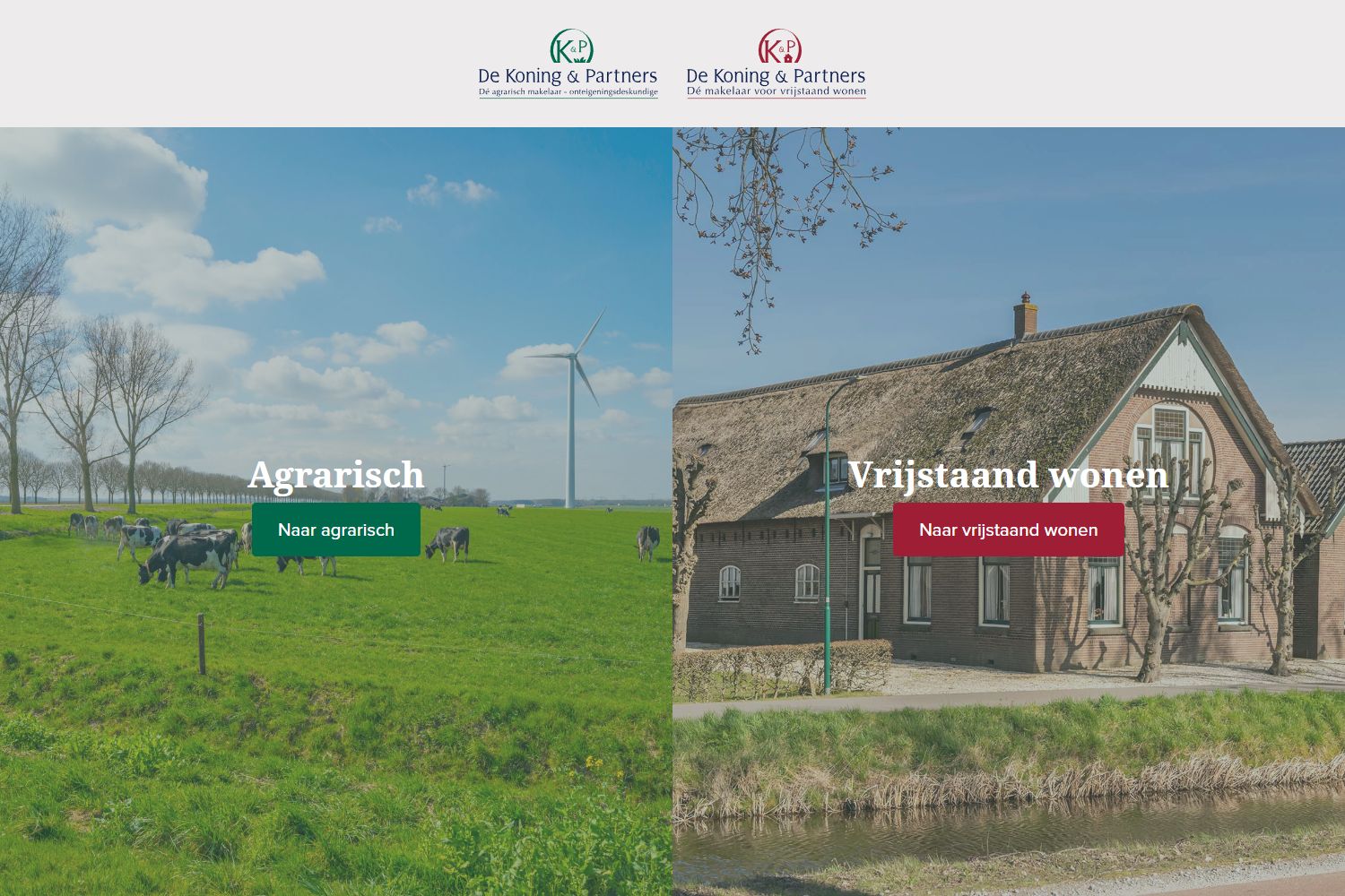 Screenshot van de website van www.koningwitzier.nl