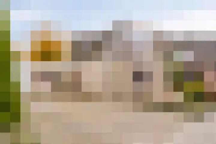 De Koningshof 14 Swifterbant thumbnail 10
