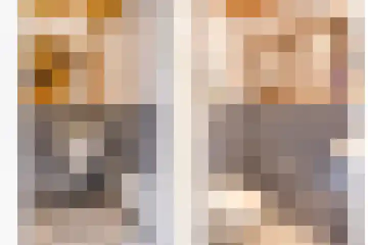 De Koningshof 14 Swifterbant thumbnail 11
