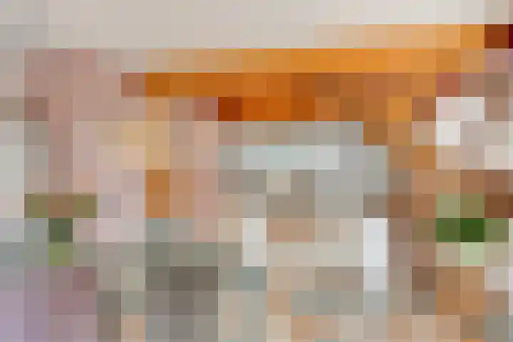 De Koningshof 14 Swifterbant thumbnail 12