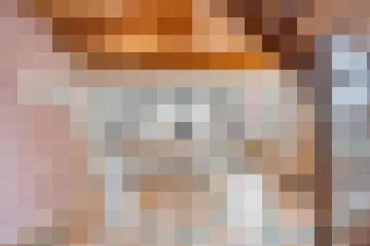 De Koningshof 14 Swifterbant thumbnail 13