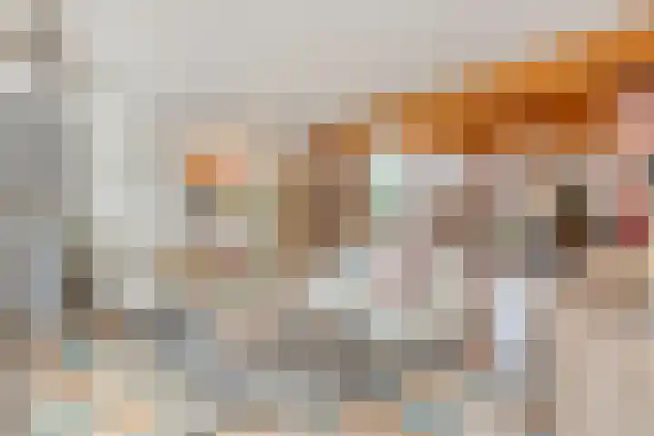 De Koningshof 14 Swifterbant thumbnail 17