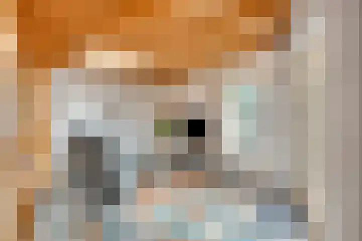 De Koningshof 14 Swifterbant thumbnail 18