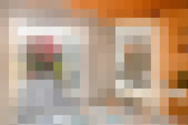 De Koningshof 14 Swifterbant thumbnail 21