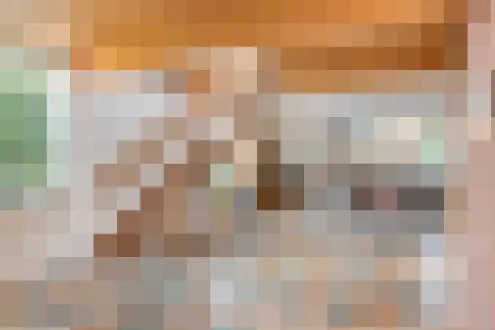 De Koningshof 14 Swifterbant thumbnail 23