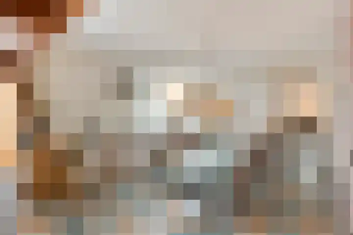 De Koningshof 14 Swifterbant thumbnail 25