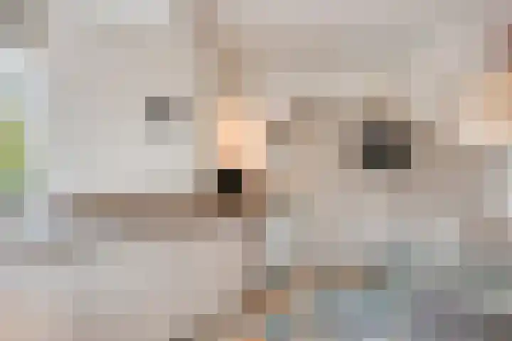 De Koningshof 14 Swifterbant thumbnail 27