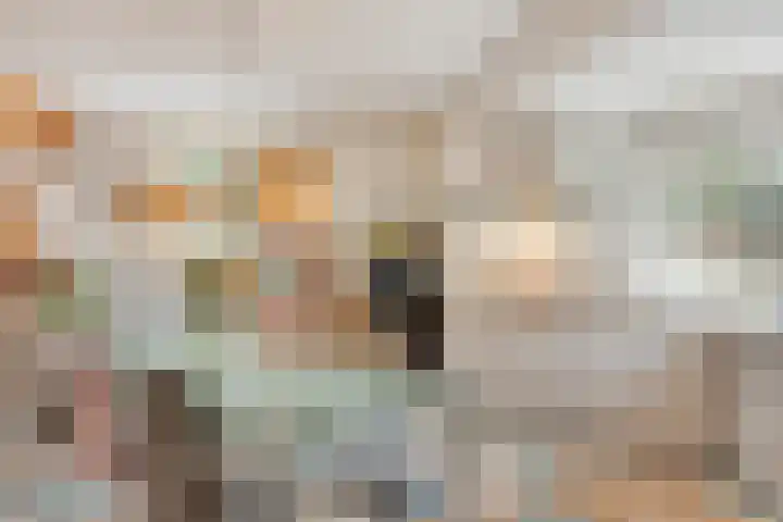 De Koningshof 14 Swifterbant thumbnail 28