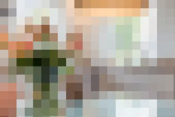 De Koningshof 14 Swifterbant thumbnail 29