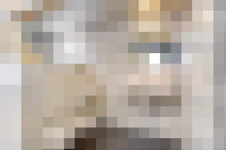 De Koningshof 14 Swifterbant thumbnail 33