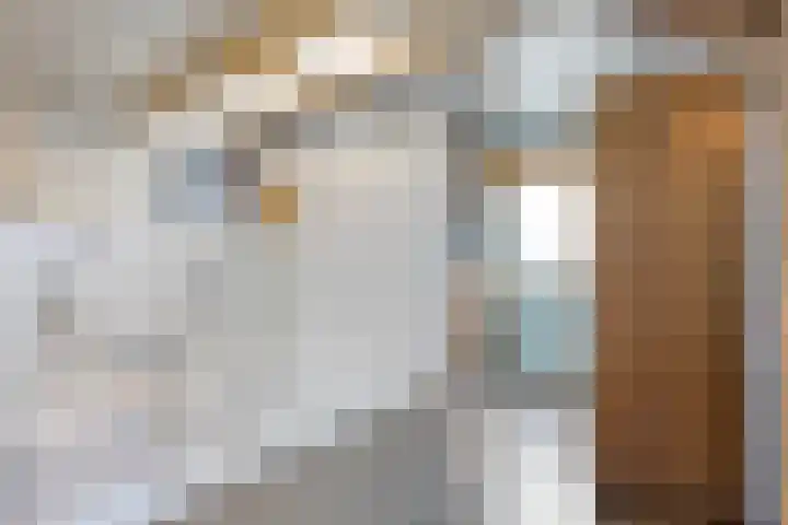 De Koningshof 14 Swifterbant thumbnail 35