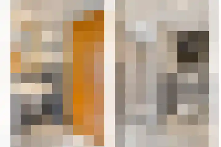 De Koningshof 14 Swifterbant thumbnail 39