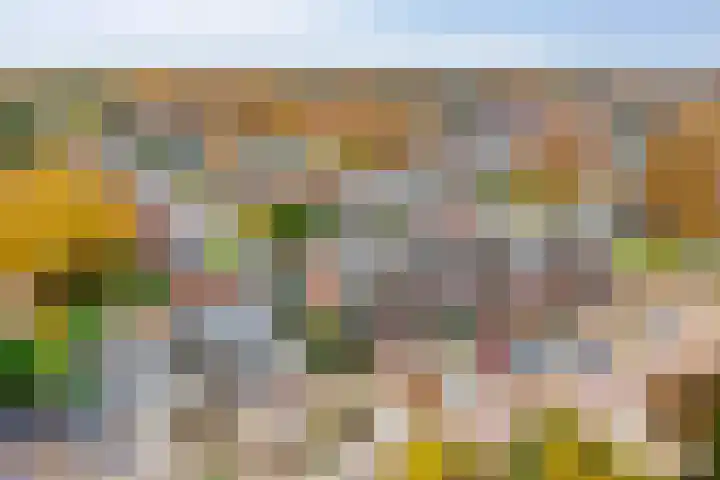 De Koningshof 14 Swifterbant thumbnail 4