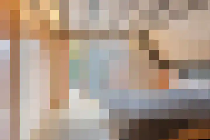 De Koningshof 14 Swifterbant thumbnail 40