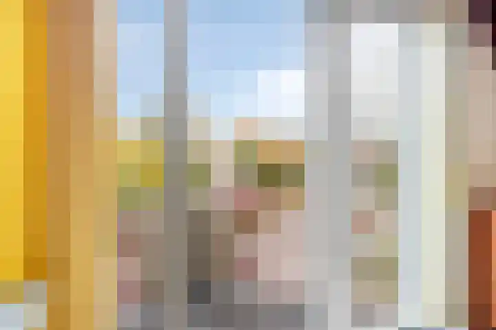 De Koningshof 14 Swifterbant thumbnail 44