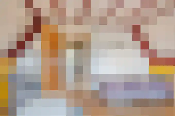 De Koningshof 14 Swifterbant thumbnail 45