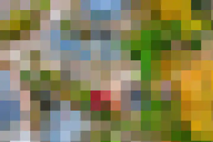 De Koningshof 14 Swifterbant thumbnail 46
