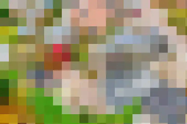 De Koningshof 14 Swifterbant thumbnail 47