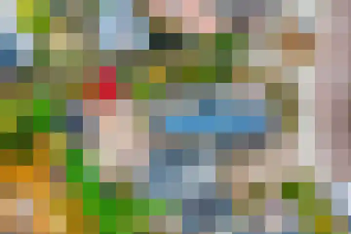 De Koningshof 14 Swifterbant thumbnail 48