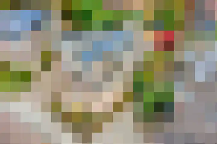 De Koningshof 14 Swifterbant thumbnail 5