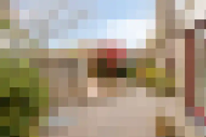 De Koningshof 14 Swifterbant thumbnail 52