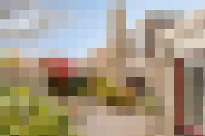De Koningshof 14 Swifterbant thumbnail 53