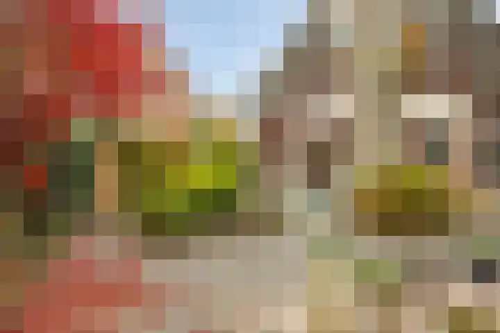 De Koningshof 14 Swifterbant thumbnail 54
