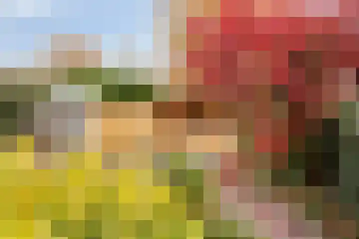 De Koningshof 14 Swifterbant thumbnail 55