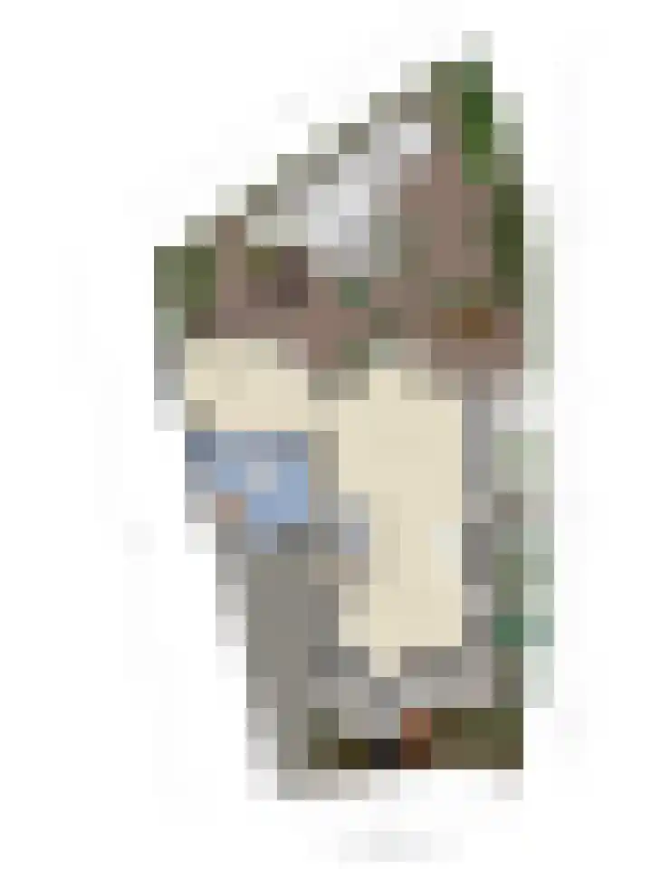 De Koningshof 14 Swifterbant thumbnail 57