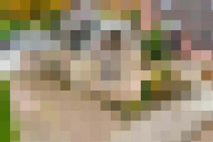 De Koningshof 14 Swifterbant thumbnail 7