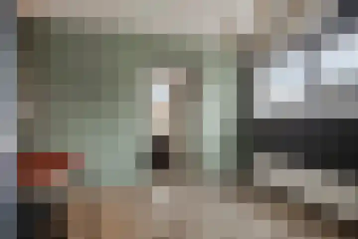 De Koningshof 2 Swifterbant thumbnail 14