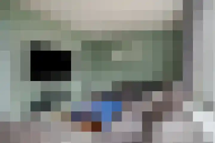 De Koningshof 2 Swifterbant thumbnail 16