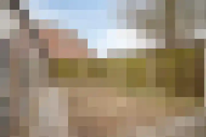 De Koningshof 2 Swifterbant thumbnail 34