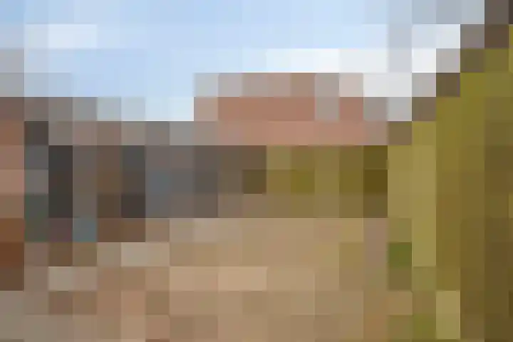 De Koningshof 2 Swifterbant thumbnail 35