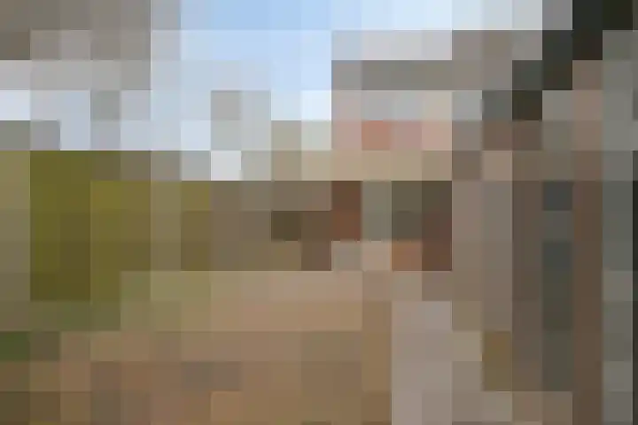 De Koningshof 2 Swifterbant thumbnail 37