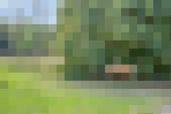 De Koningshof 2 Swifterbant thumbnail 38