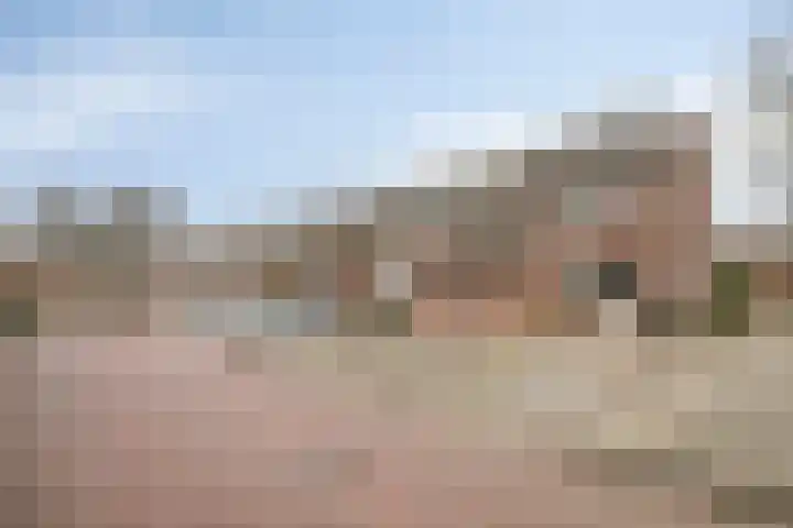 De Koningshof 2 Swifterbant thumbnail 4