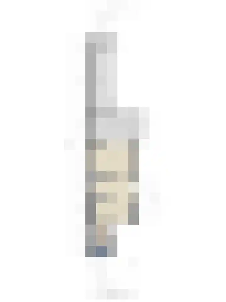 De Koningshof 2 Swifterbant thumbnail 43