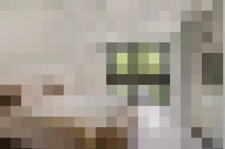 De Koningshof 24 Swifterbant thumbnail 17