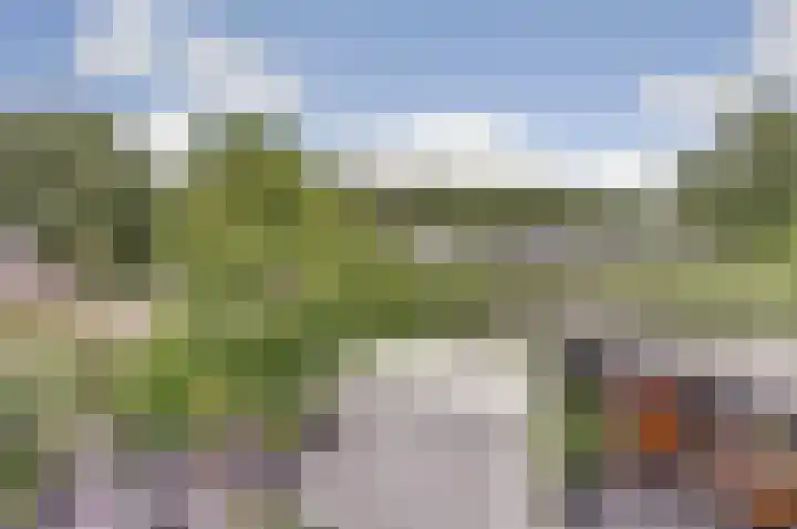 De Koningshof 24 Swifterbant thumbnail 19