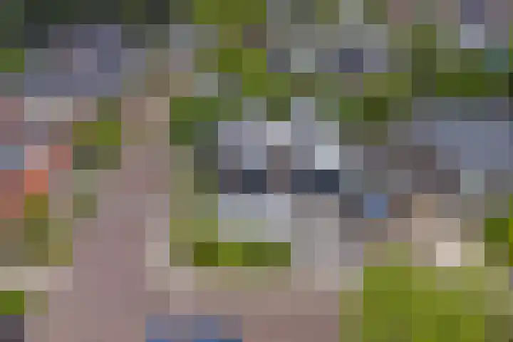 De Koningshof 24 Swifterbant thumbnail 28