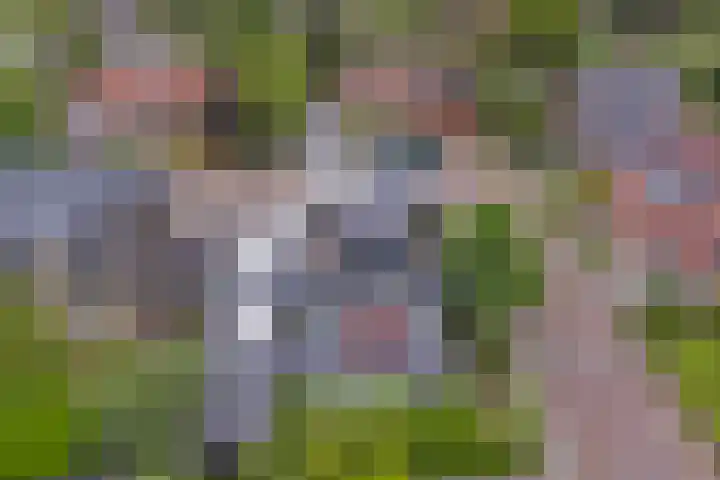 De Koningshof 24 Swifterbant thumbnail 29